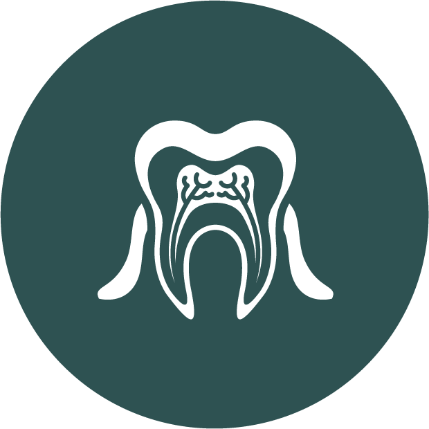 Albany Family Dentist’s welcoming environment and professional dental care services in Albany, highlighting our commitment to quality and patient comfort
